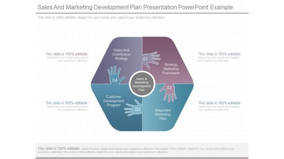 Sales And Marketing Development Plan Presentation Powerpoint Example Sales And Marketing Development Plan Presentation Powerpoint Example