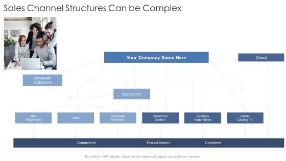 Sales Channel Structures Can Be Complex Startup Business Strategy Ppt Pictures Shapes PDF