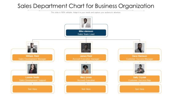 Sales Department Chart For Business Organization Ppt PowerPoint Presentation File Tips PDF