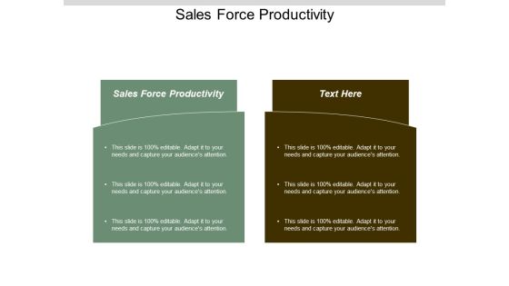 Sales Force Productivity Ppt Powerpoint Presentation Pictures Cpb Sales Force Productivity Ppt Powerpoint Presentation Pictures Cpb