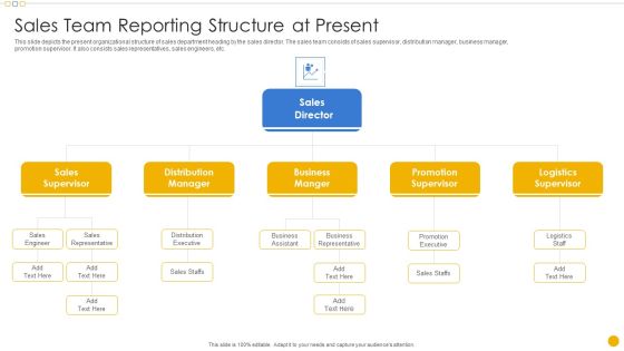 Sales Management Playbook Sales Team Reporting Structure At Present Introduction PDF