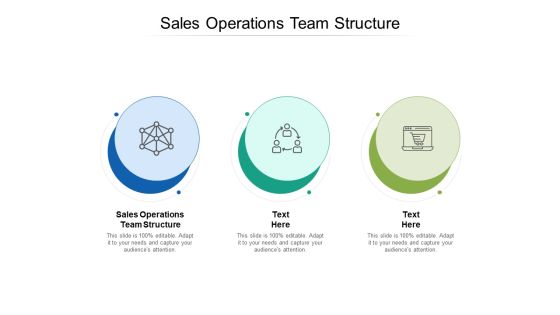 Sales Operations Team Structure Ppt PowerPoint Presentation Summary Gallery Cpb Sales Operations Team Structure Ppt PowerPoint Presentation Summary Gallery Cpb