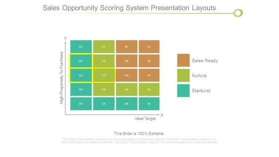 Sales Opportunity Scoring System Presentation Layouts Sales Opportunity Scoring System Presentation Layouts