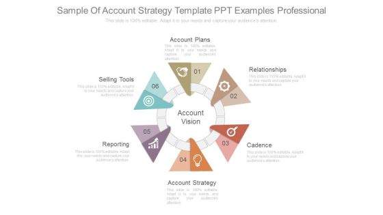 Sample Of Account Strategy Template Ppt Examples Professional Sample Of Account Strategy Template Ppt Examples Professional