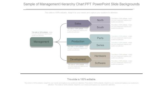 Sample Of Management Hierarchy Chart Ppt Powerpoint Slide Backgrounds Sample Of Management Hierarchy Chart Ppt Powerpoint Slide Backgrounds