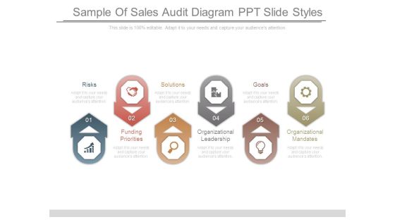 Sample Of Sales Audit Diagram Ppt Slide Styles