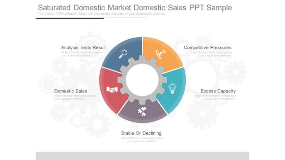 Saturated Domestic Market Domestic Sales Ppt Sample