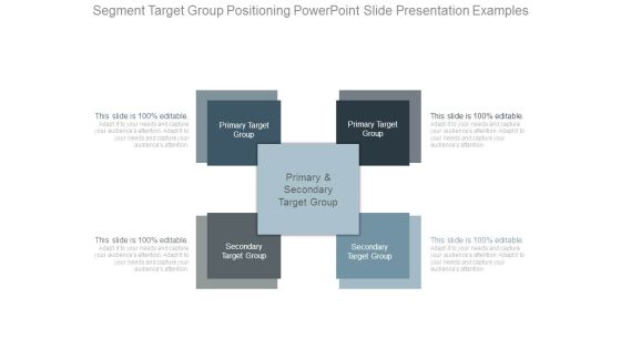Segment Target Group Positioning Powerpoint Slide Presentation Examples Segment Target Group Positioning Powerpoint Slide Presentation Examples