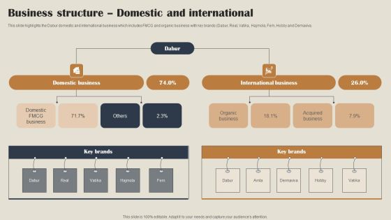 Self Care Products Company Outline Business Structure Domestic And International Structure PDF Self Care Products Company Outline Business Structure Domestic And International Structure PDF
