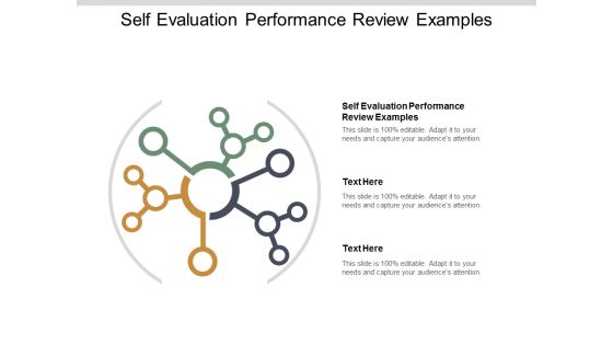Self Evaluation Performance Review Examples Ppt PowerPoint Presentation Outline Topics Cpb
