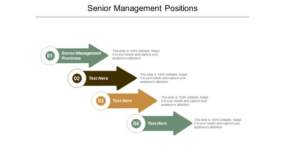 Senior Management Positions Ppt Powerpoint Presentation Layouts Guidelines Cpb