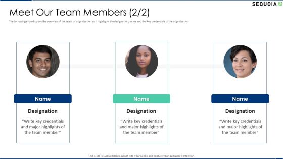 Sequoia Company Capital Raising Elevator Meet Our Team Members Elements PDF