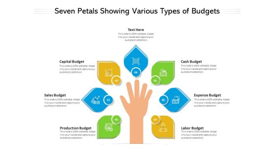 Seven Petals Showing Various Types Of Budgets Ppt PowerPoint Presentation Layouts Introduction PDF Seven Petals Showing Various Types Of Budgets Ppt PowerPoint Presentation Layouts Introduction PDF