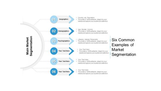 Six Common Examples Of Market Segmentation Ppt PowerPoint Presentation Gallery Good PDF Six Common Examples Of Market Segmentation Ppt PowerPoint Presentation Gallery Good PDF