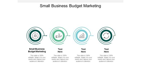 Small Business Budget Marketing Ppt PowerPoint Presentation Inspiration Examples Cpb