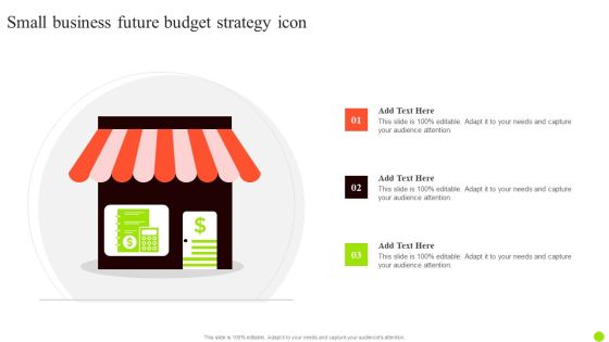 Small Business Future Budget Strategy Icon Brochure PDF Small Business Future Budget Strategy Icon Brochure PDF