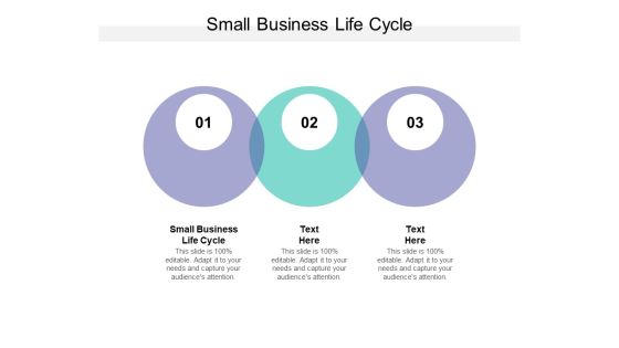 Small Business Life Cycle Ppt PowerPoint Presentation Summary Professional Cpb
