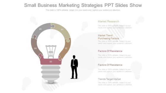 Small Business Marketing Strategies Ppt Slides Show