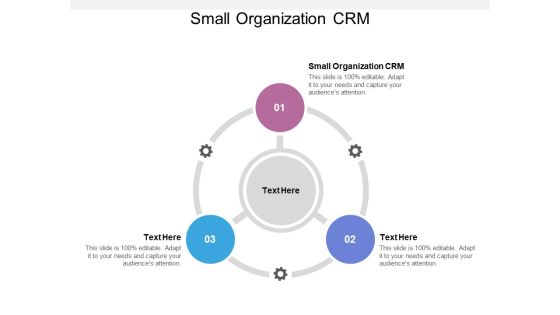 Small Organization CRM Ppt PowerPoint Presentation Summary Styles Cpb