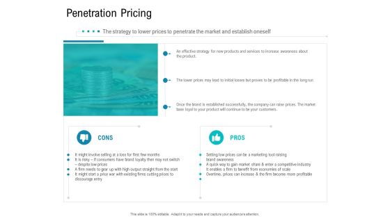 Smart Software Pricing Strategies Penetration Pricing Ppt Model Professional PDF