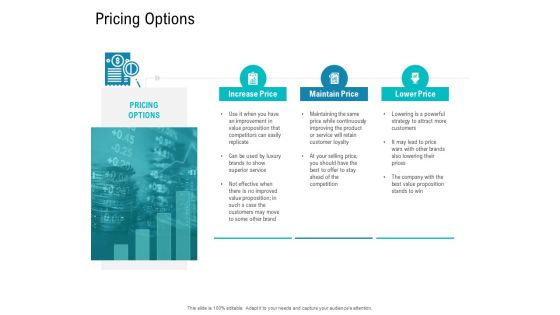 Smart Software Pricing Strategies Pricing Options Ppt Portfolio File Formats PDF Smart Software Pricing Strategies Pricing Options Ppt Portfolio File Formats PDF