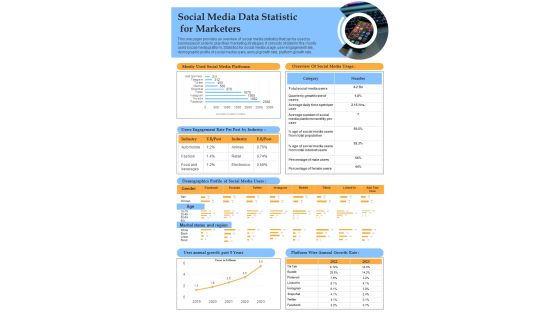 Social Media Key Insights For Promoters PDF Document PPT Template