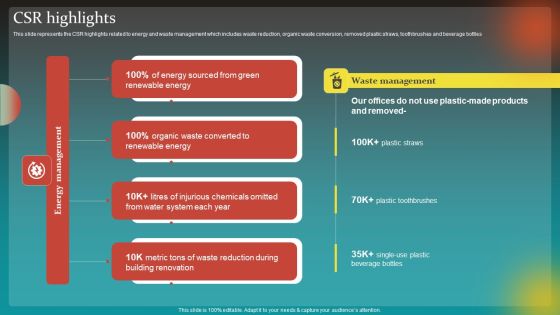 Social Network Business Summary CSR Highlights Background PDF