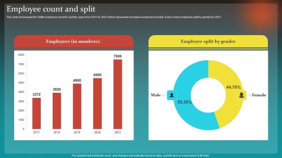 Social Network Business Summary Employee Count And Split Download PDF Social Network Business Summary Employee Count And Split Download PDF
