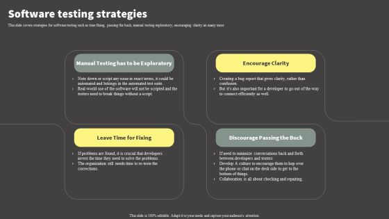 Software Development Life Cycle Planning Software Testing Strategies Brochure PDF