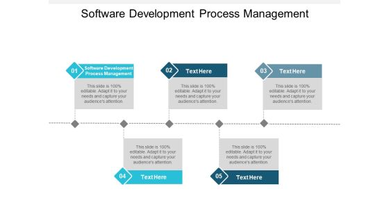 Software Development Process Management Ppt PowerPoint Presentation Pictures Maker Cpb