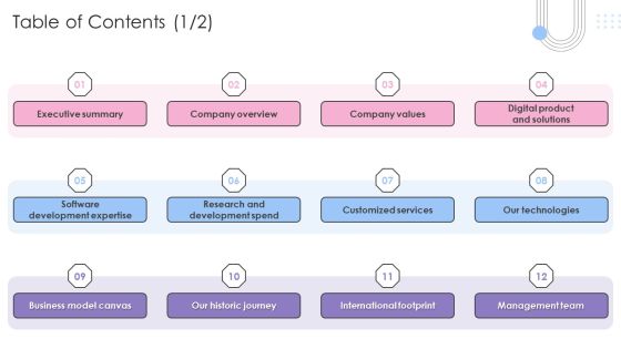 Software Products And Solutions Firm Details Table Of Contents Graphics PDF