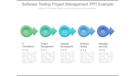 Software Testing Project Management Ppt Example Software Testing Project Management Ppt Example