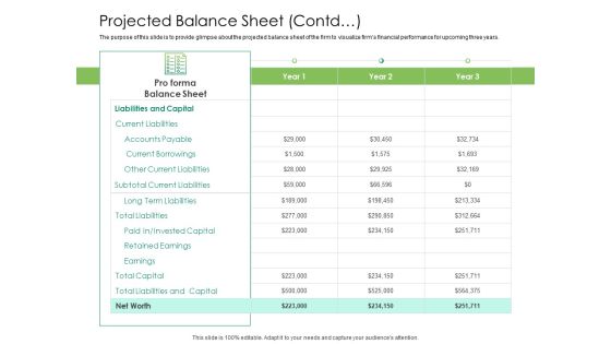 Solvency Action Plan For Private Organization Projected Balance Sheet Contd Graphics PDF Solvency Action Plan For Private Organization Projected Balance Sheet Contd Graphics PDF