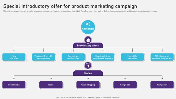 Special Introductory Offer For Product Marketing Campaign Template PDF Special Introductory Offer For Product Marketing Campaign Template PDF