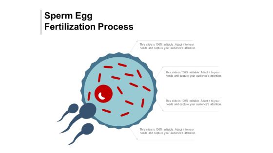 Sperm Egg Fertilization Process Ppt Powerpoint Presentation File Clipart Sperm Egg Fertilization Process Ppt Powerpoint Presentation File Clipart