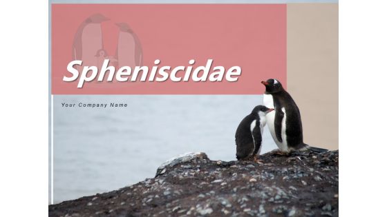Spheniscidae Aquatic Animal Brown Penguin Ppt PowerPoint Presentation Complete Deck Spheniscidae Aquatic Animal Brown Penguin Ppt PowerPoint Presentation Complete Deck