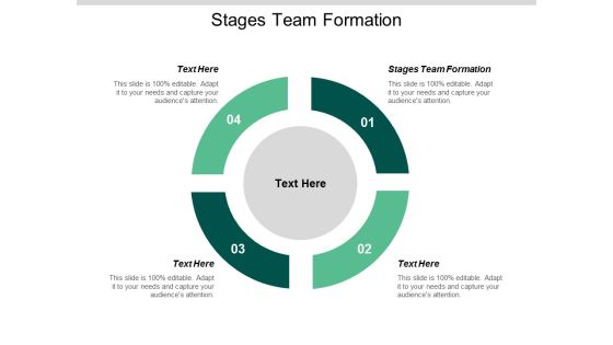 Stages Team Formation Ppt Powerpoint Presentation Slides Ideas Cpb
