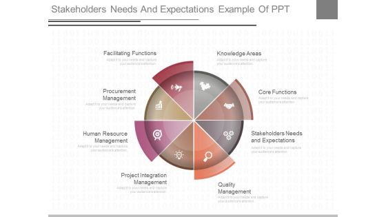 Stakeholders Needs And Expectations Example Of Ppt