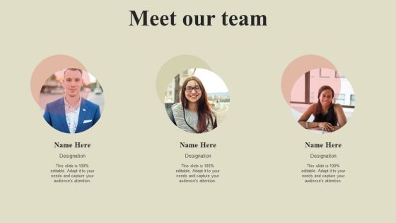 Steps To Effectively Conduct Market Research Meet Our Team Designs PDF