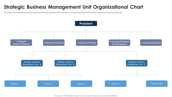 Strategic Business Management Unit Organizational Chart Ideas PDF Strategic Business Management Unit Organizational Chart Ideas PDF