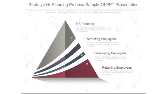 Strategic Hr Planning Process Sample Of Ppt Presentation Strategic Hr Planning Process Sample Of Ppt Presentation