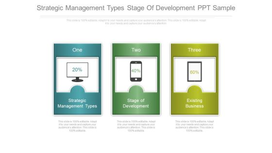 Strategic Management Types Stage Of Development Ppt Sample