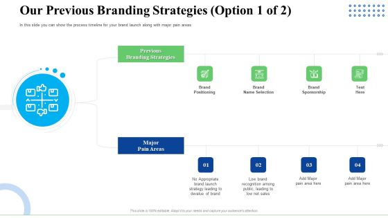Strategic Plan For Business Expansion And Growth Our Previous Branding Strategies Elements PDF Strategic Plan For Business Expansion And Growth Our Previous Branding Strategies Elements PDF