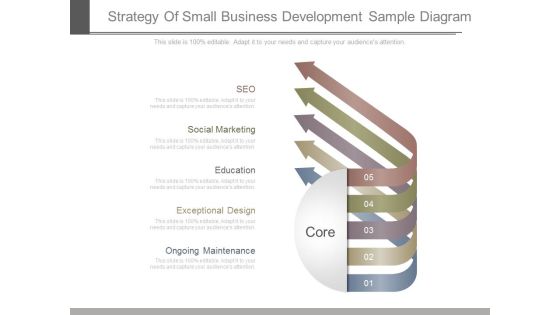 Strategy Of Small Business Development Sample Diagram