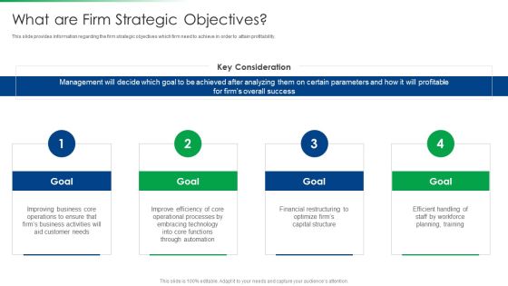 Strawman Project Action Plan What Are Firm Strategic Objectives Clipart PDF