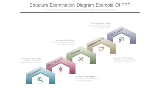 Structure Examination Diagram Example Of Ppt