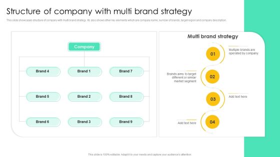 Structure Of Company With Multi Brand Strategy Guidelines PDF Structure Of Company With Multi Brand Strategy Guidelines PDF