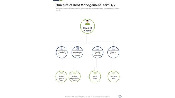 Structure Of Debt Management Team One Pager Sample Example Document Structure Of Debt Management Team One Pager Sample Example Document