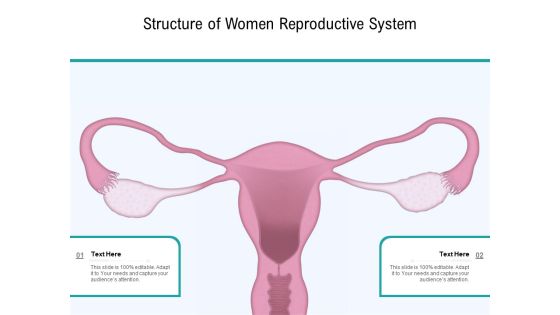 Structure Of Women Reproductive System Ppt PowerPoint Presentation Gallery Outfit PDF Structure Of Women Reproductive System Ppt PowerPoint Presentation Gallery Outfit PDF