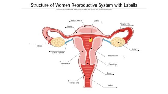 Structure Of Women Reproductive System With Labells Ppt PowerPoint Presentation File Model PDF